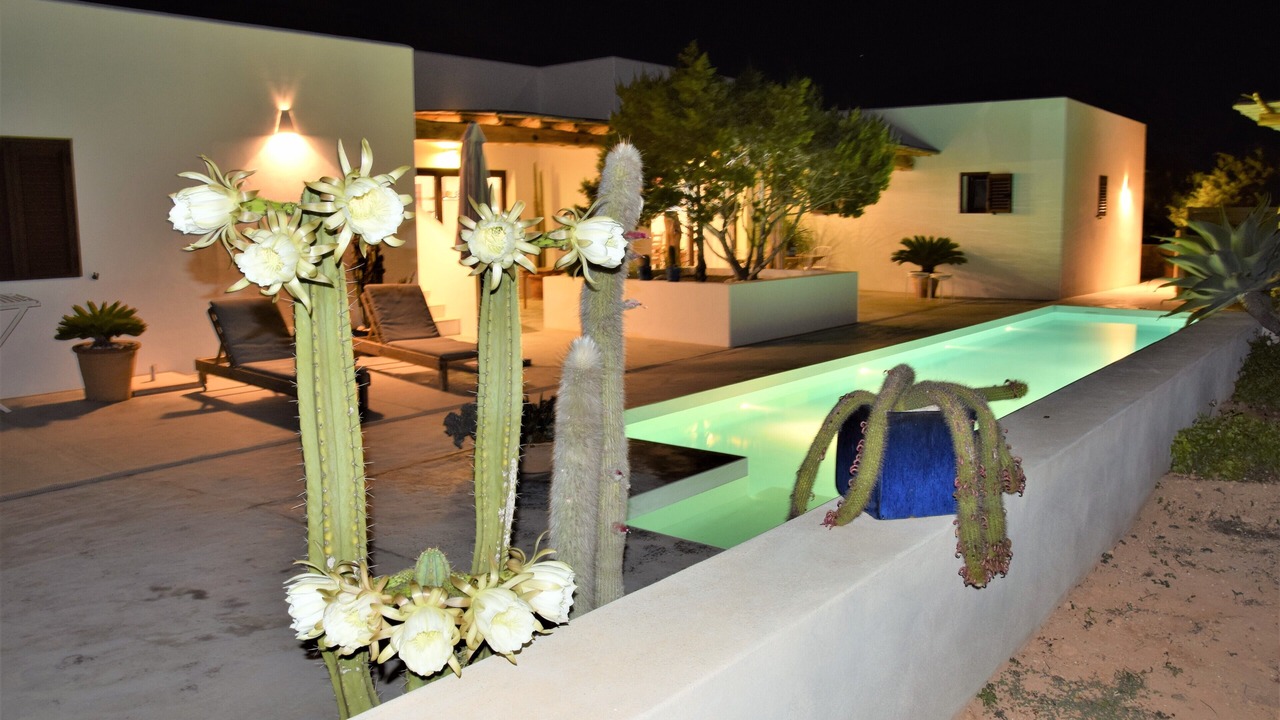 Photo of Outdoor in Formentera