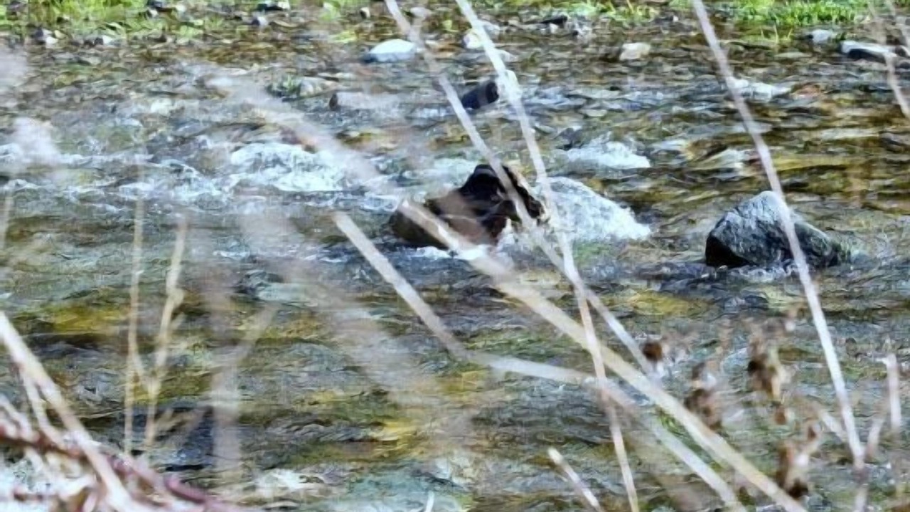 Photo of Outdoor in Ezcaray