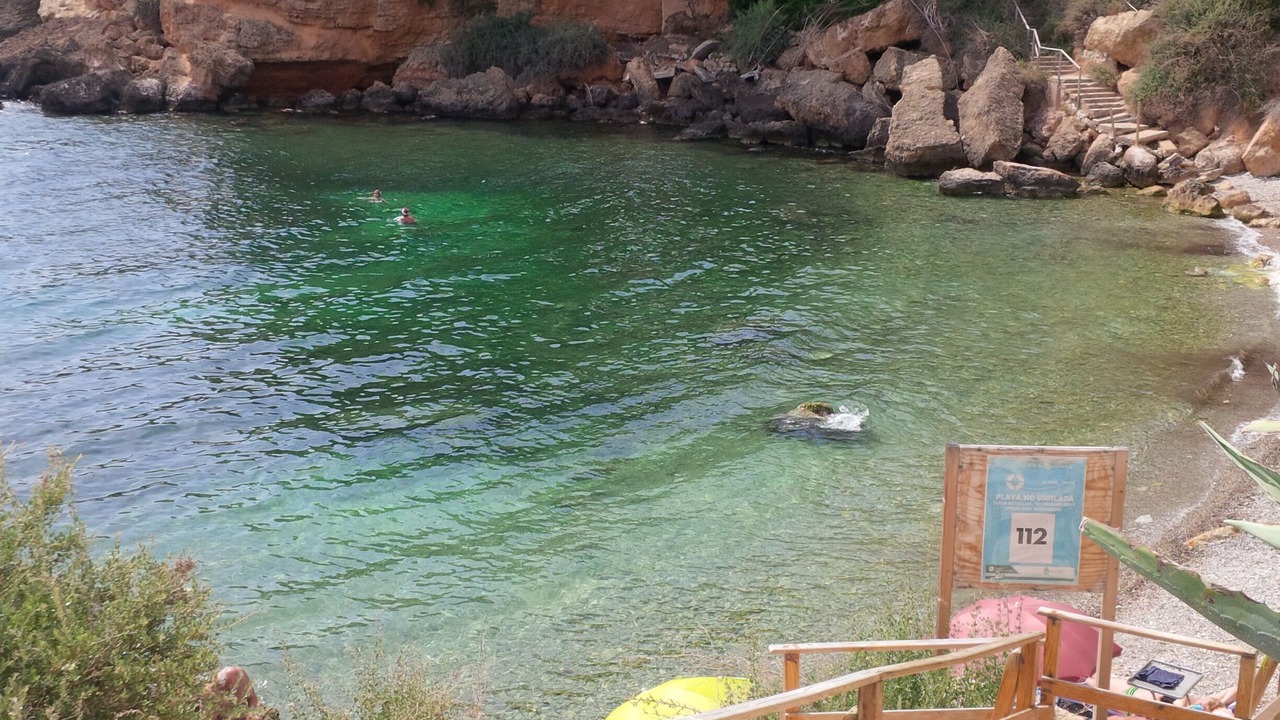 Photo of Others in Costa de la Calma