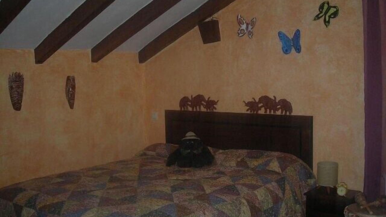 Photo of Bedroom in San Vicente de la Barquera