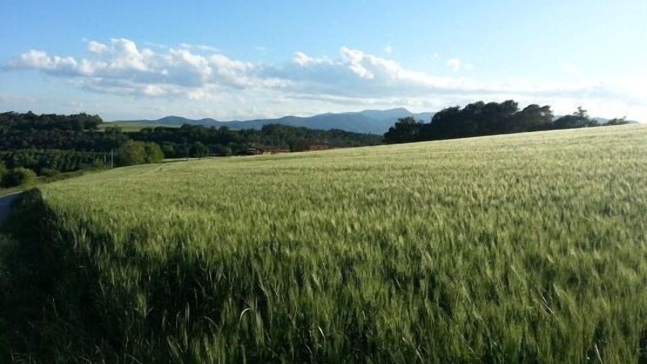 Photo of Outdoor in Fontcoberta