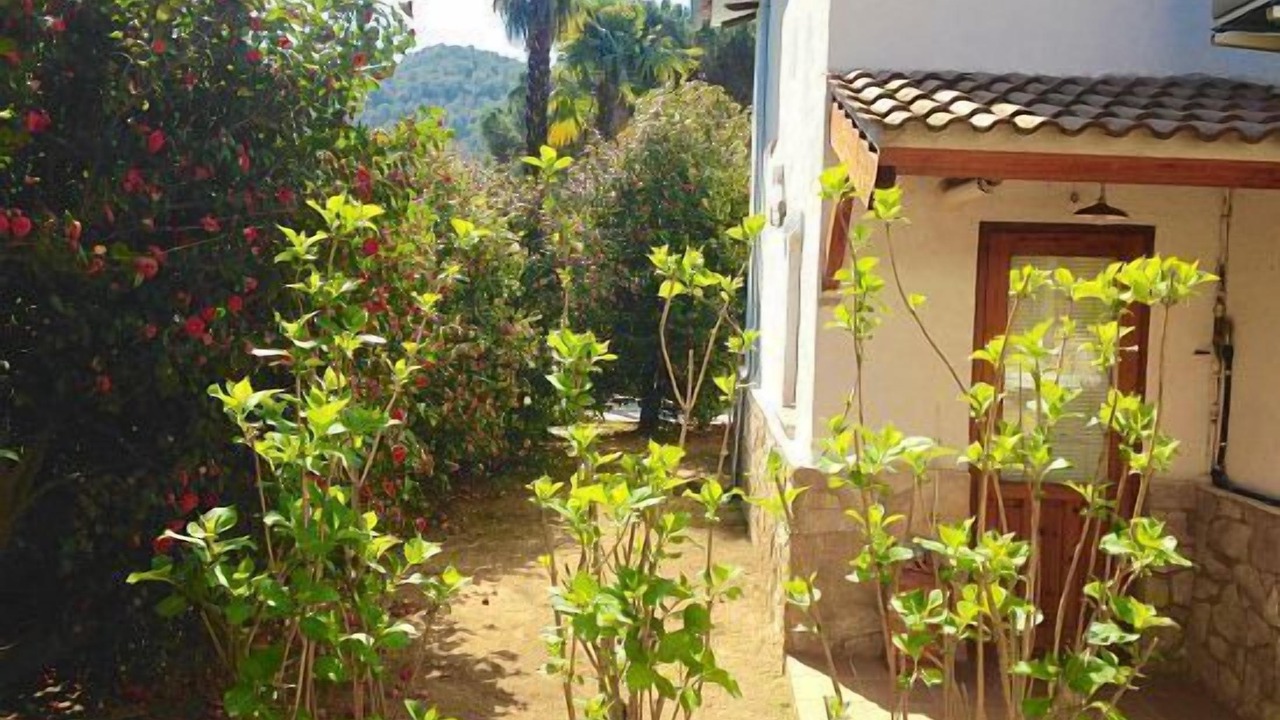 Photo of Outdoor in Arbucies