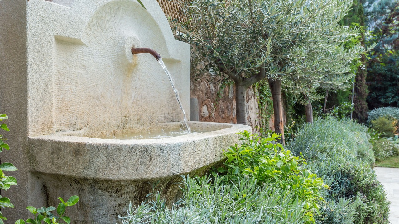 Photo of Outdoor in Soller