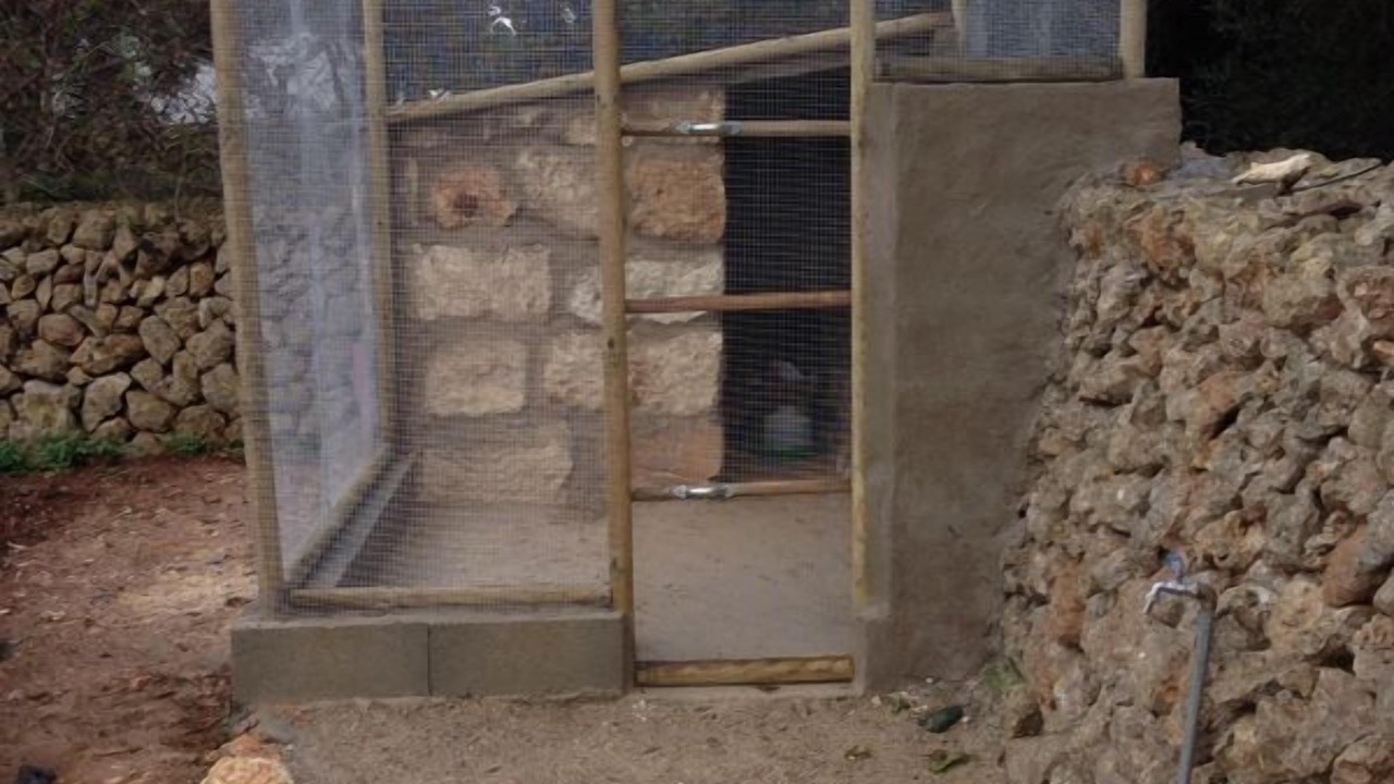Photo of Outdoor in Pou Nou - Consell