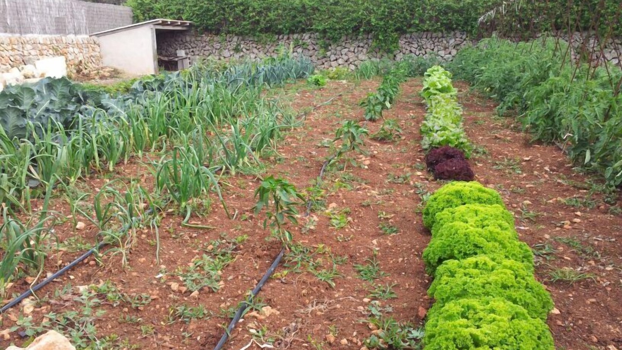 Photo of Outdoor in Pou Nou - Consell