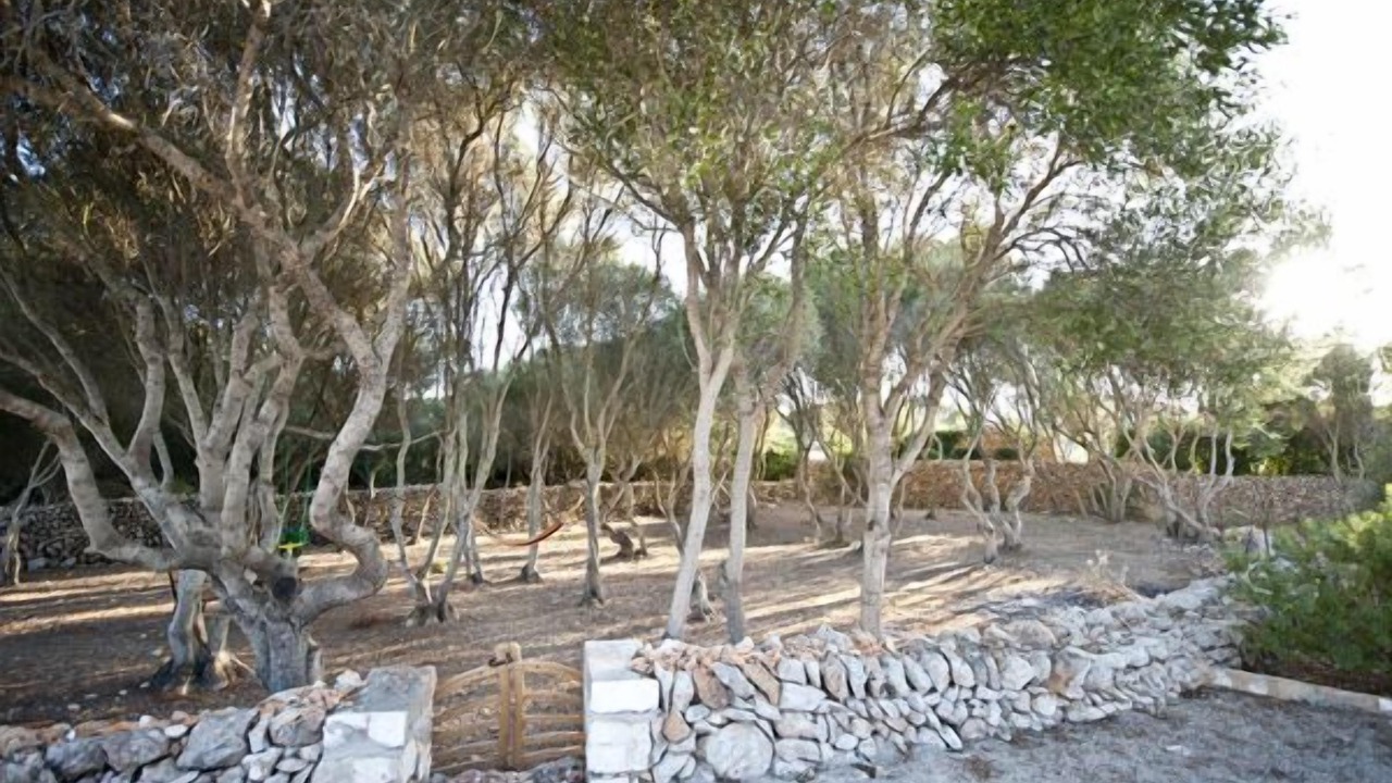 Photo of Outdoor in Pou Nou - Consell