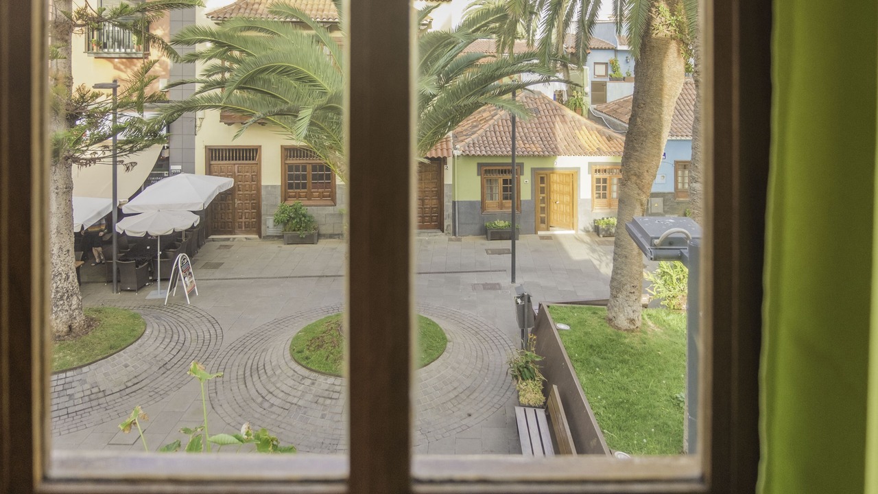 Photo of Others in Puerto de la Cruz