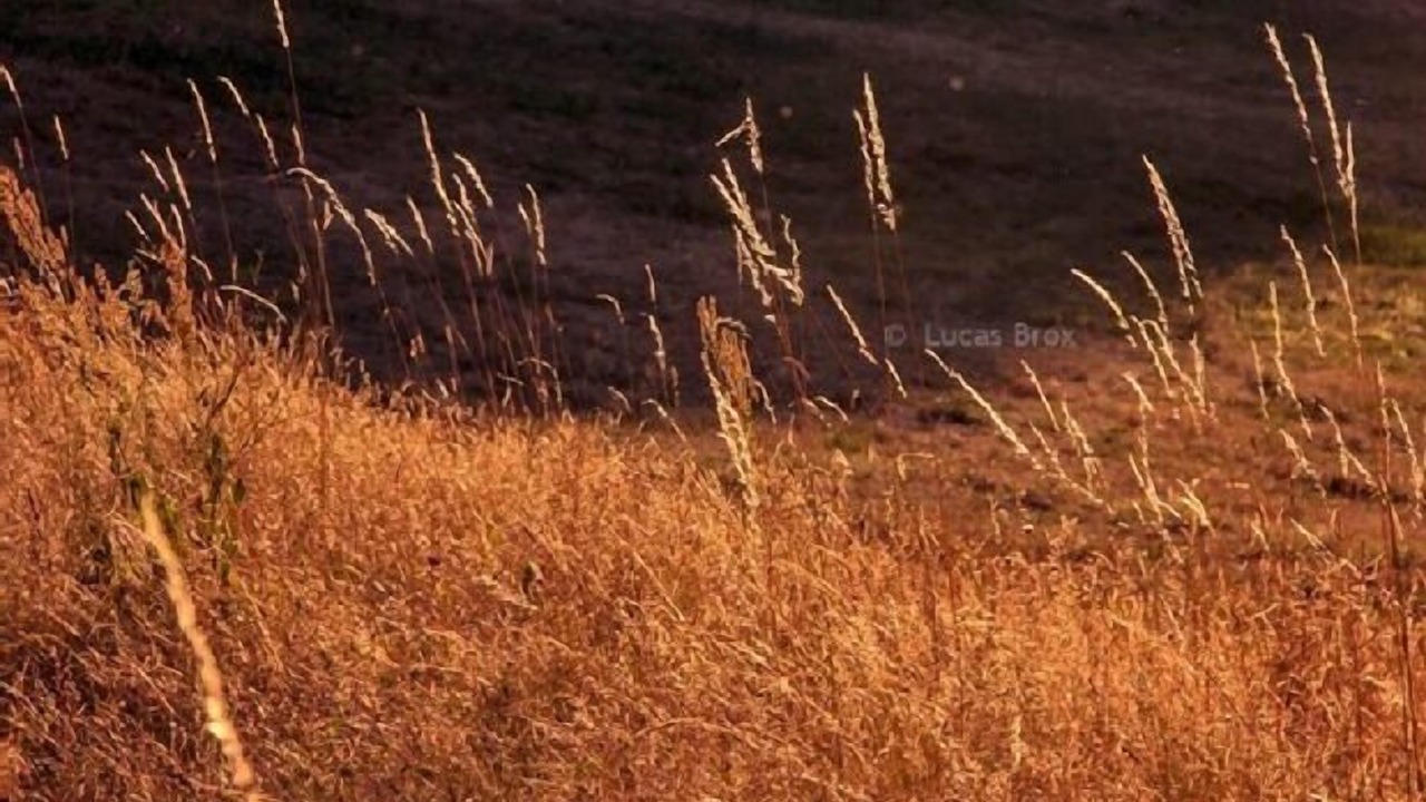 Photo of Outdoor in Cantagallo