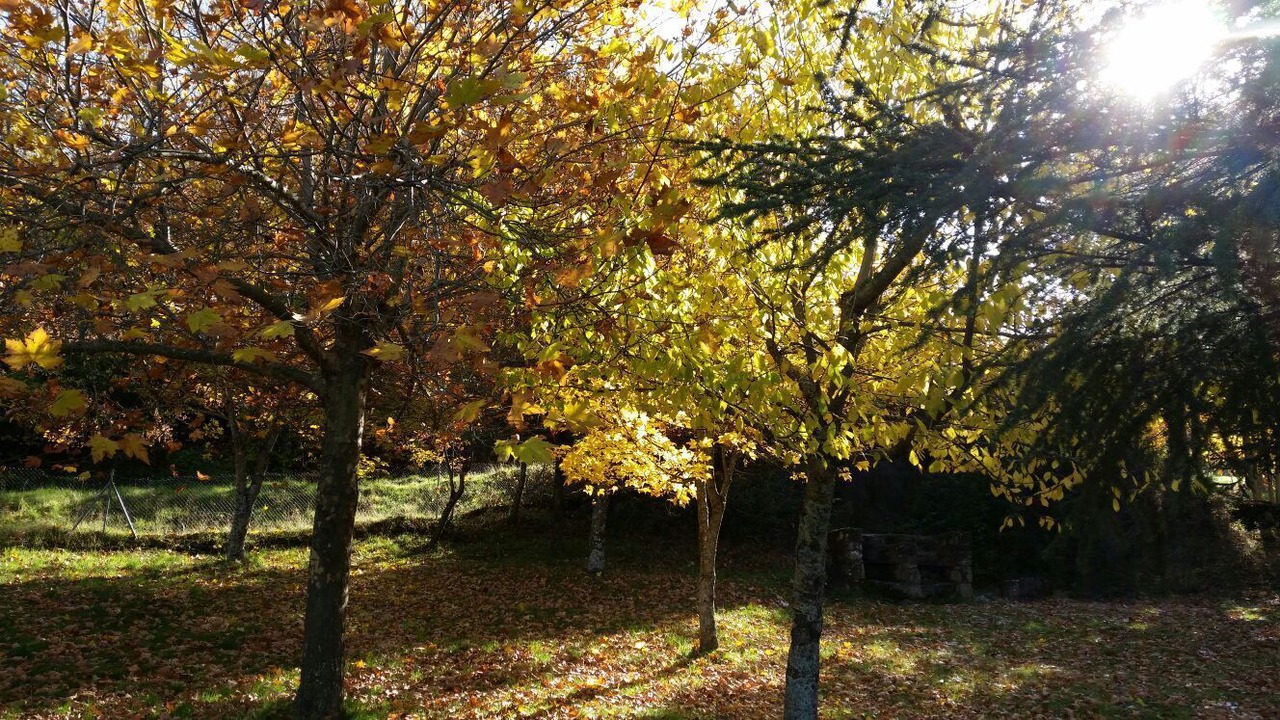 Photo of Outdoor in Cantagallo