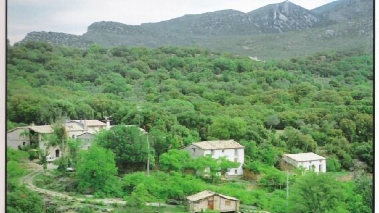 Photo of Outdoor in Rodellar