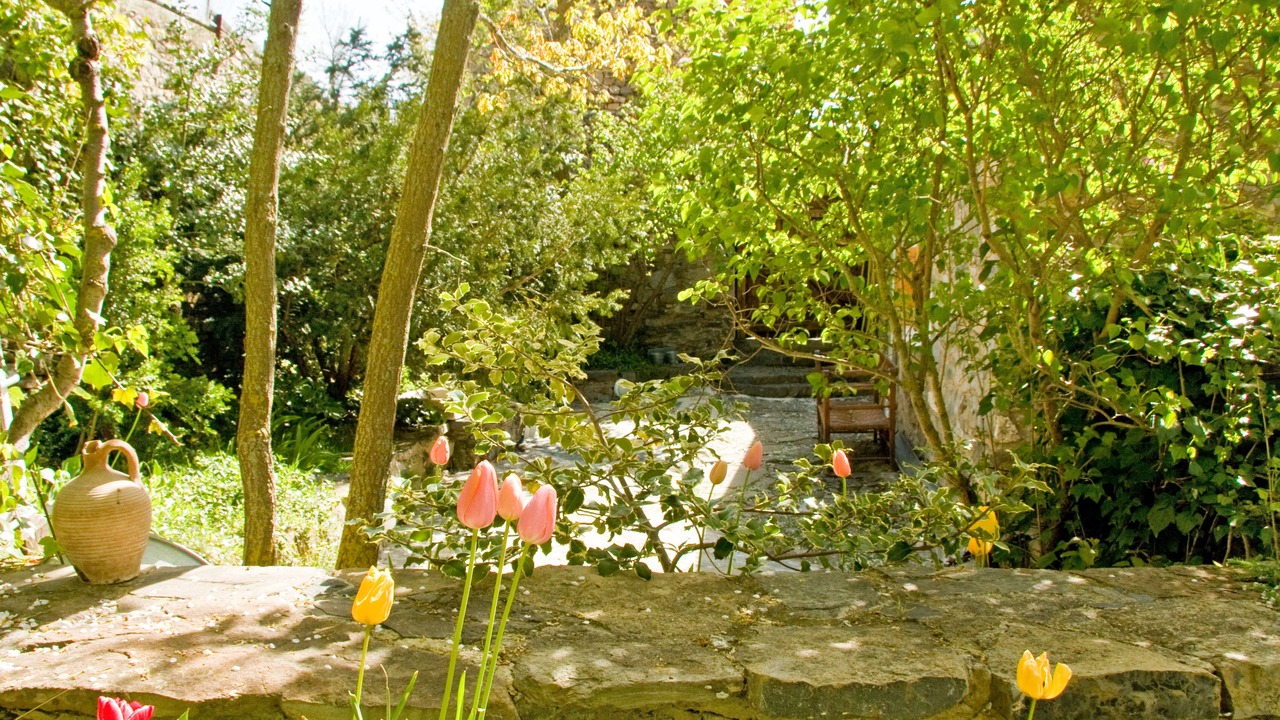 Photo of Outdoor in Navalsaz