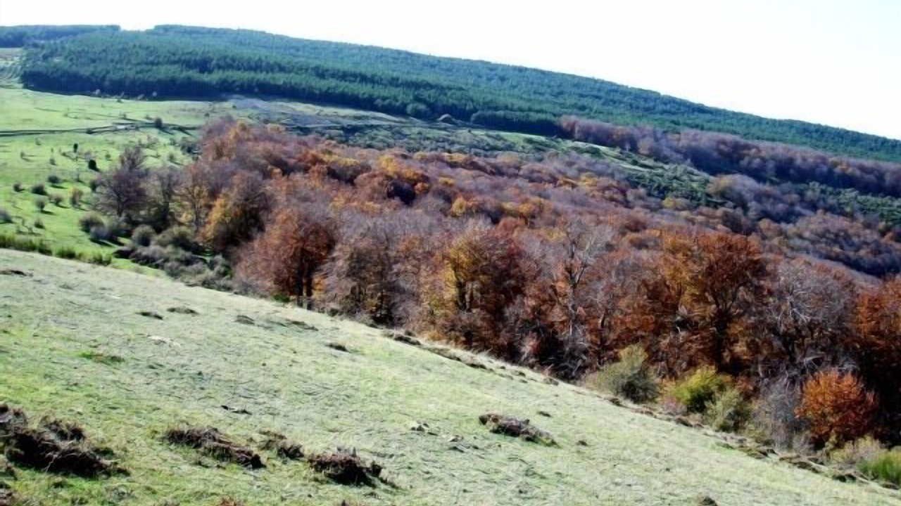 Photo of Outdoor in Navalsaz