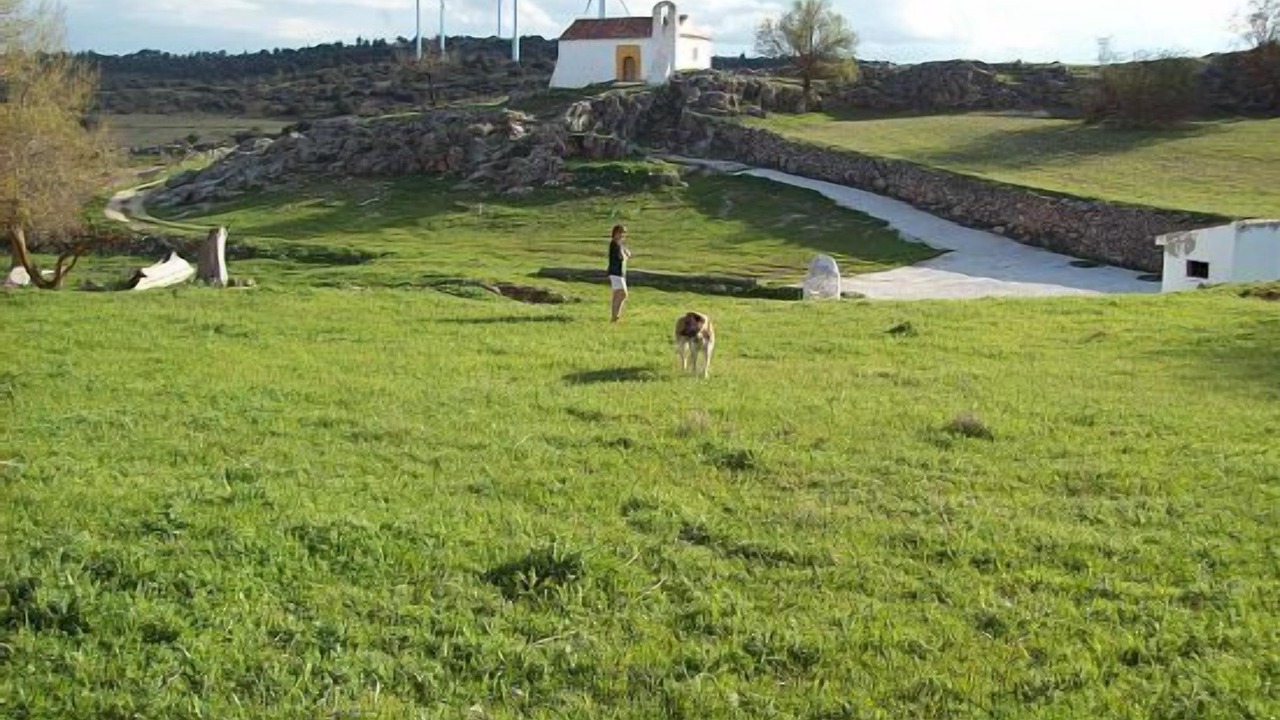 Photo of Outdoor in Alcadozo