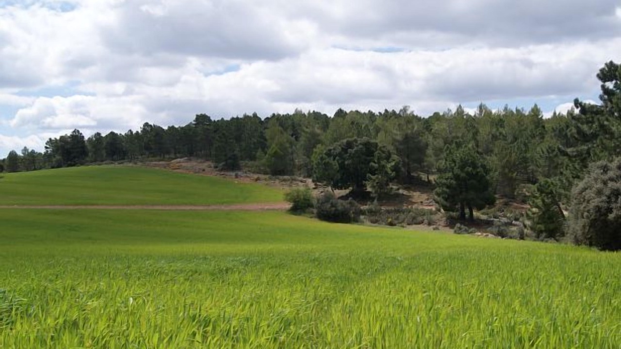 Photo of Others in Alcadozo