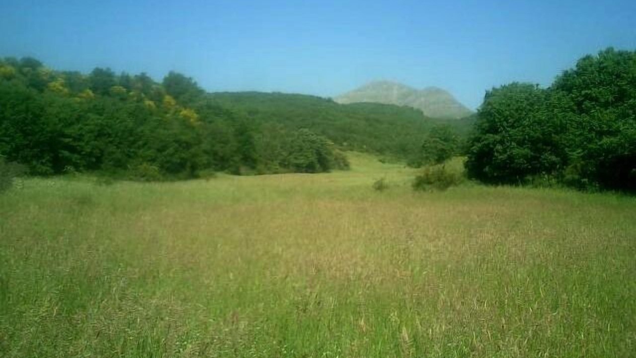 Photo of Outdoor in Valderrueda