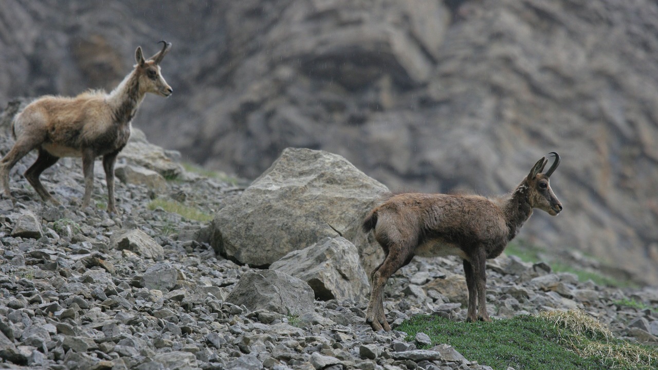 Photo of Outdoor in Ainsa