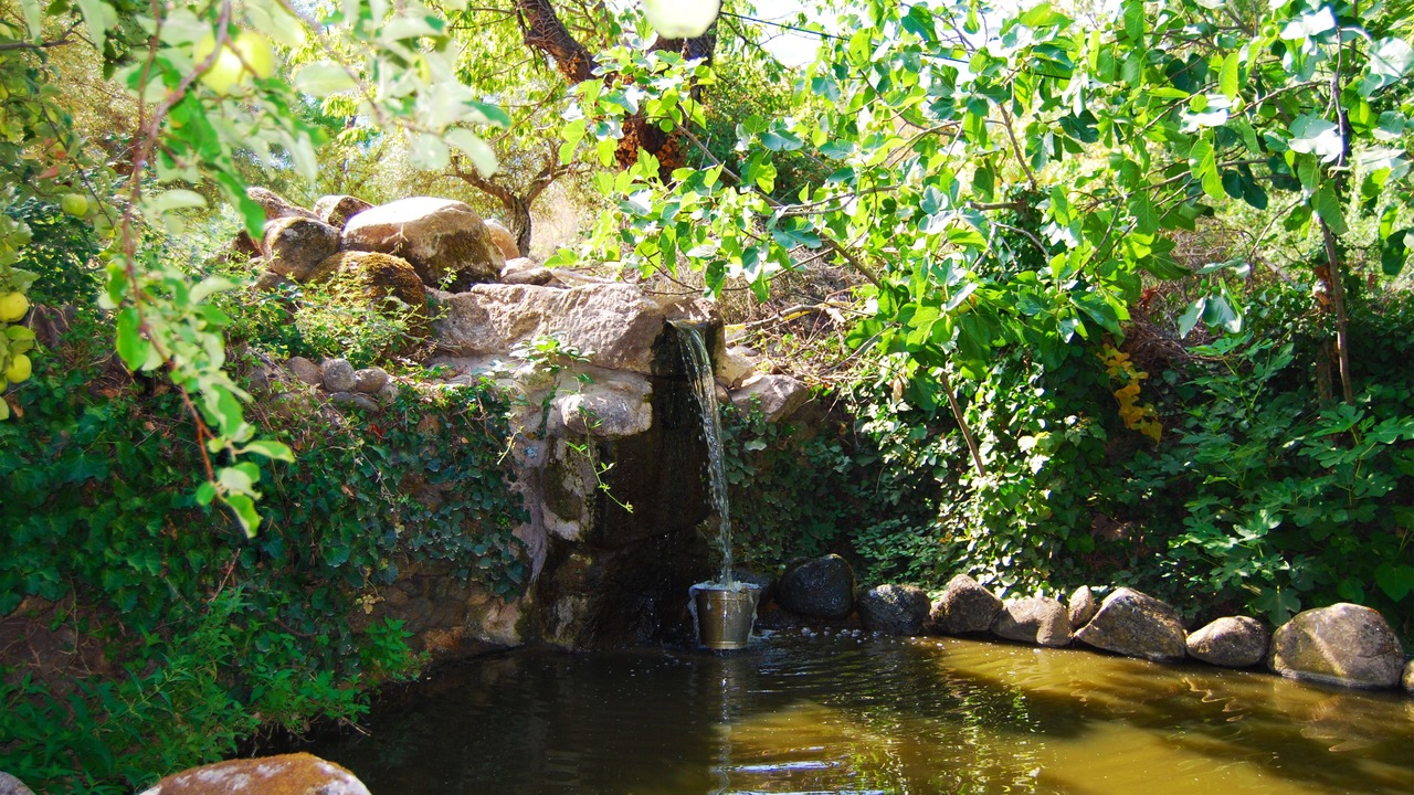 Photo of Outdoor in Hervas