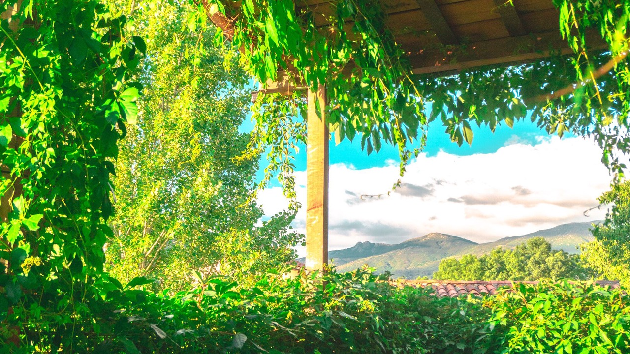 Photo of Outdoor in Hervas