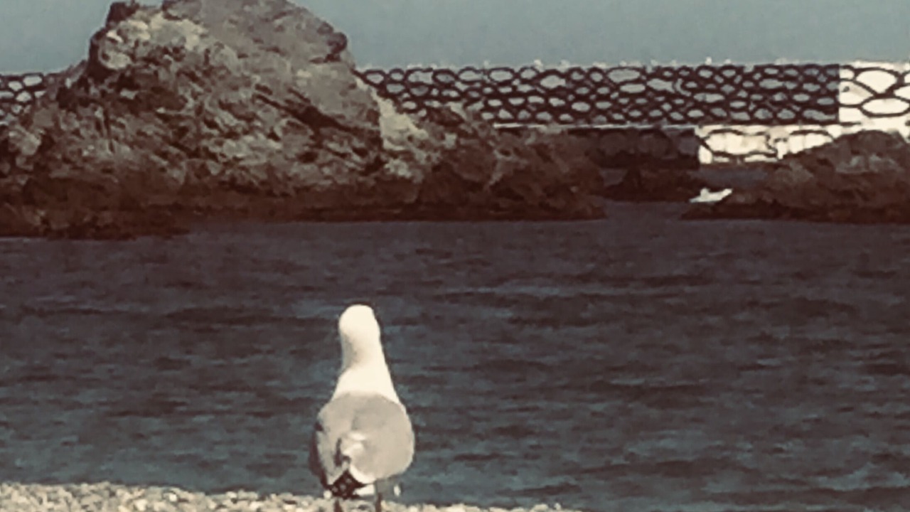 Photo of Others in Llanca