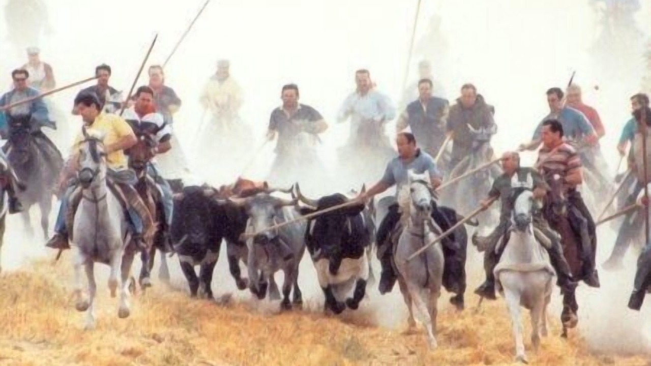 Photo of Others in Cuellar