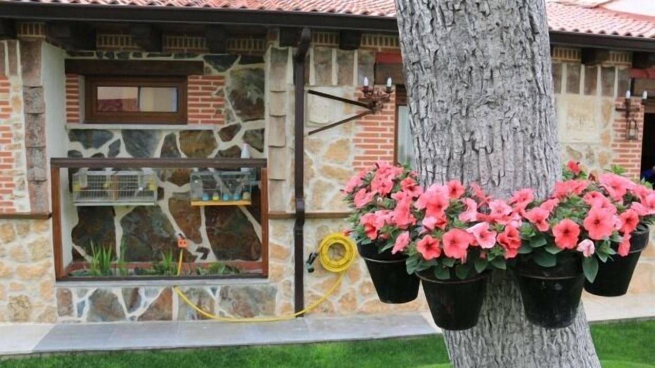 Photo of Outdoor in Cuellar