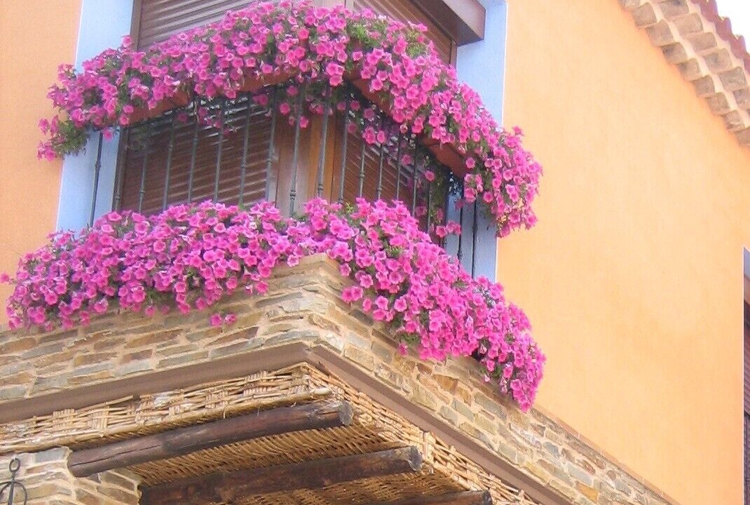 Photo of Outdoor in Carenas