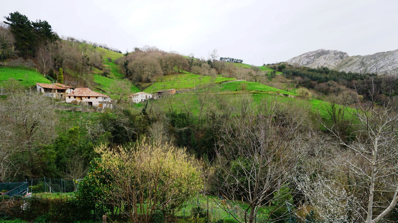 Photo of Outdoor in Arriondas