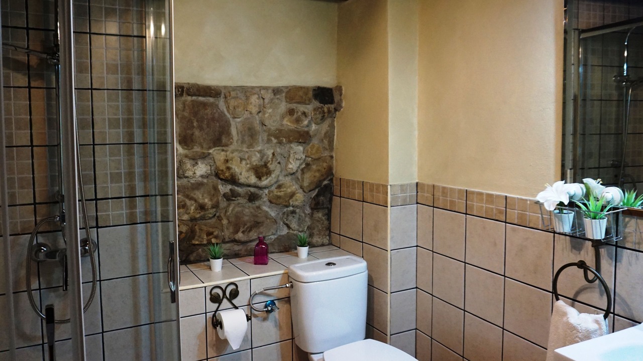 Photo of Bathroom in Arriondas