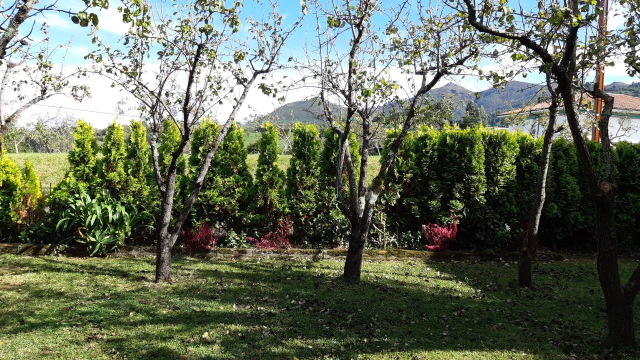 Photo of Outdoor in Caravia