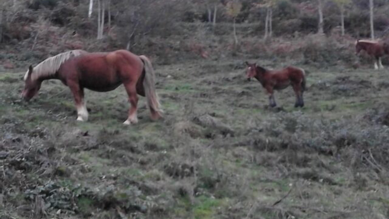 Photo of Outdoor in Zaldierna