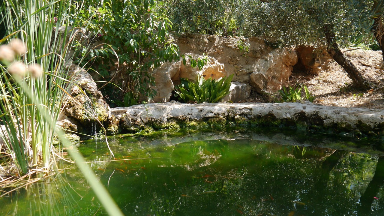 Photo of Outdoor in Cazorla
