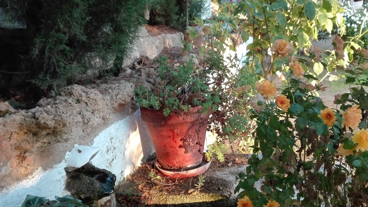 Photo of Outdoor in Cazorla