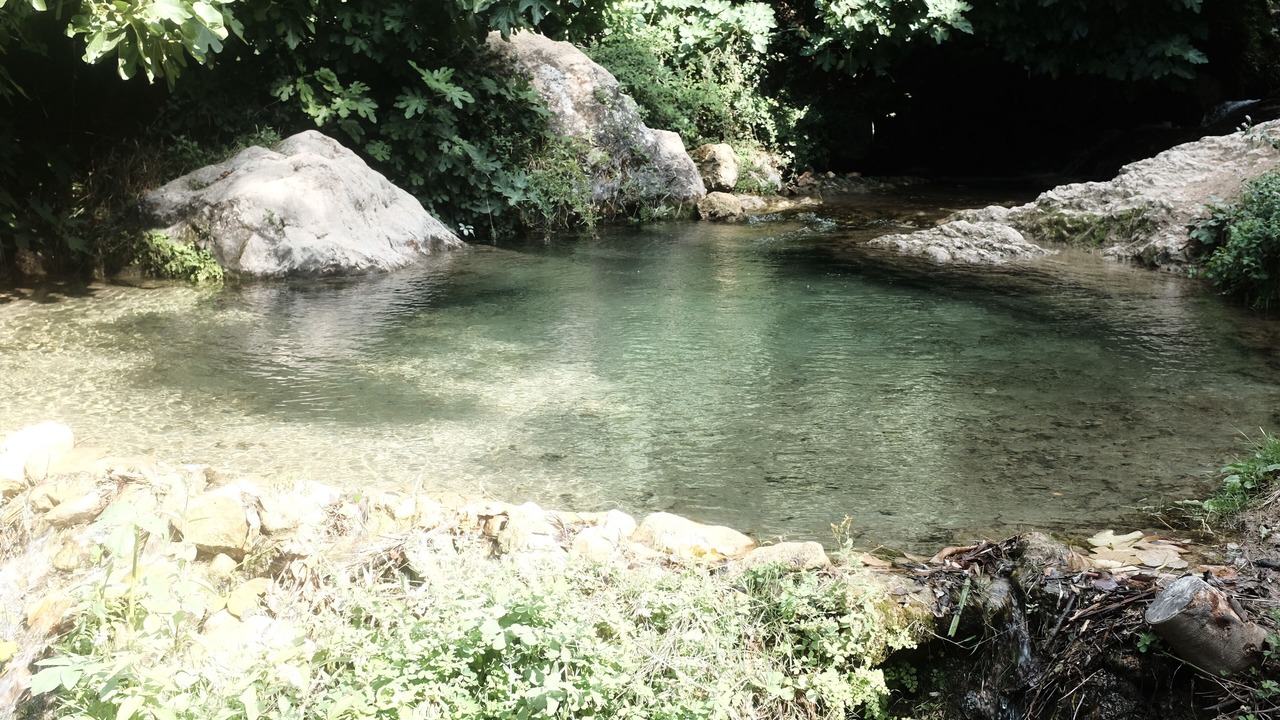 Photo of Others in Cazorla