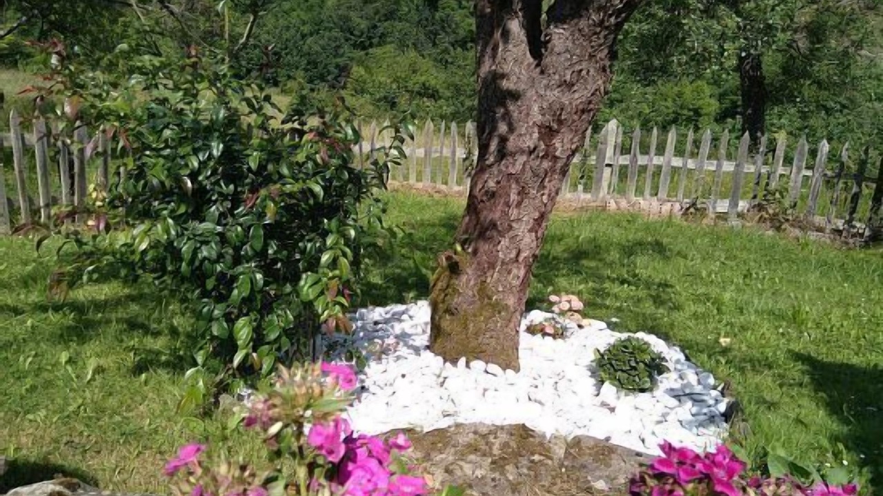 Photo of Outdoor in El Cuadro