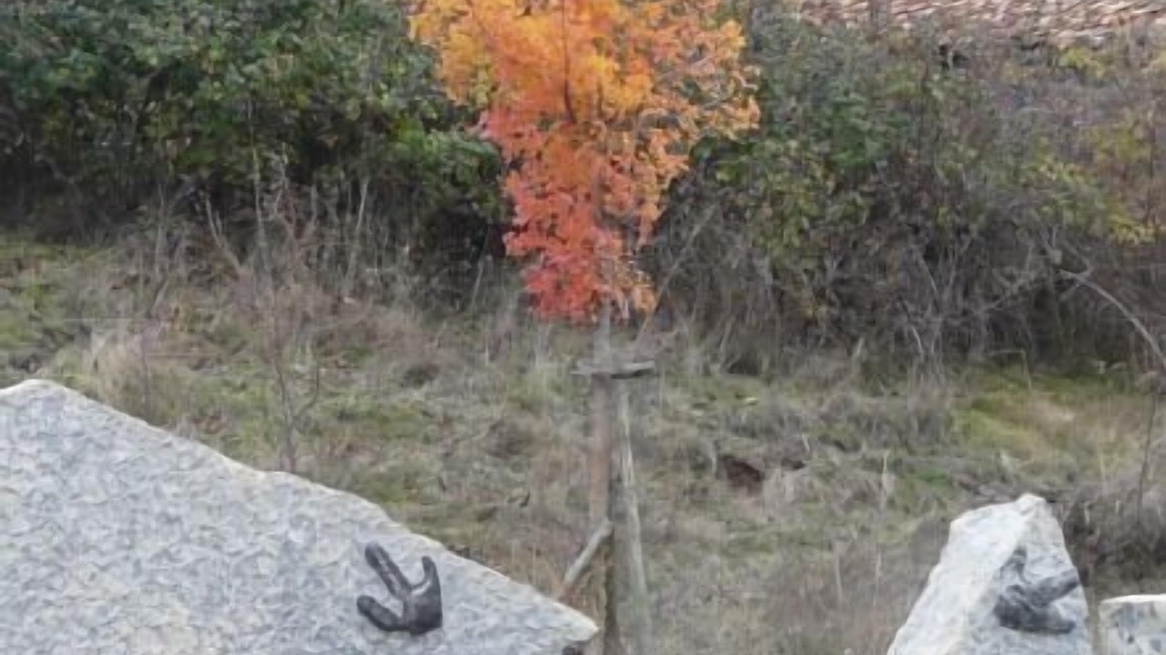 Photo of Outdoor in Navalsaz