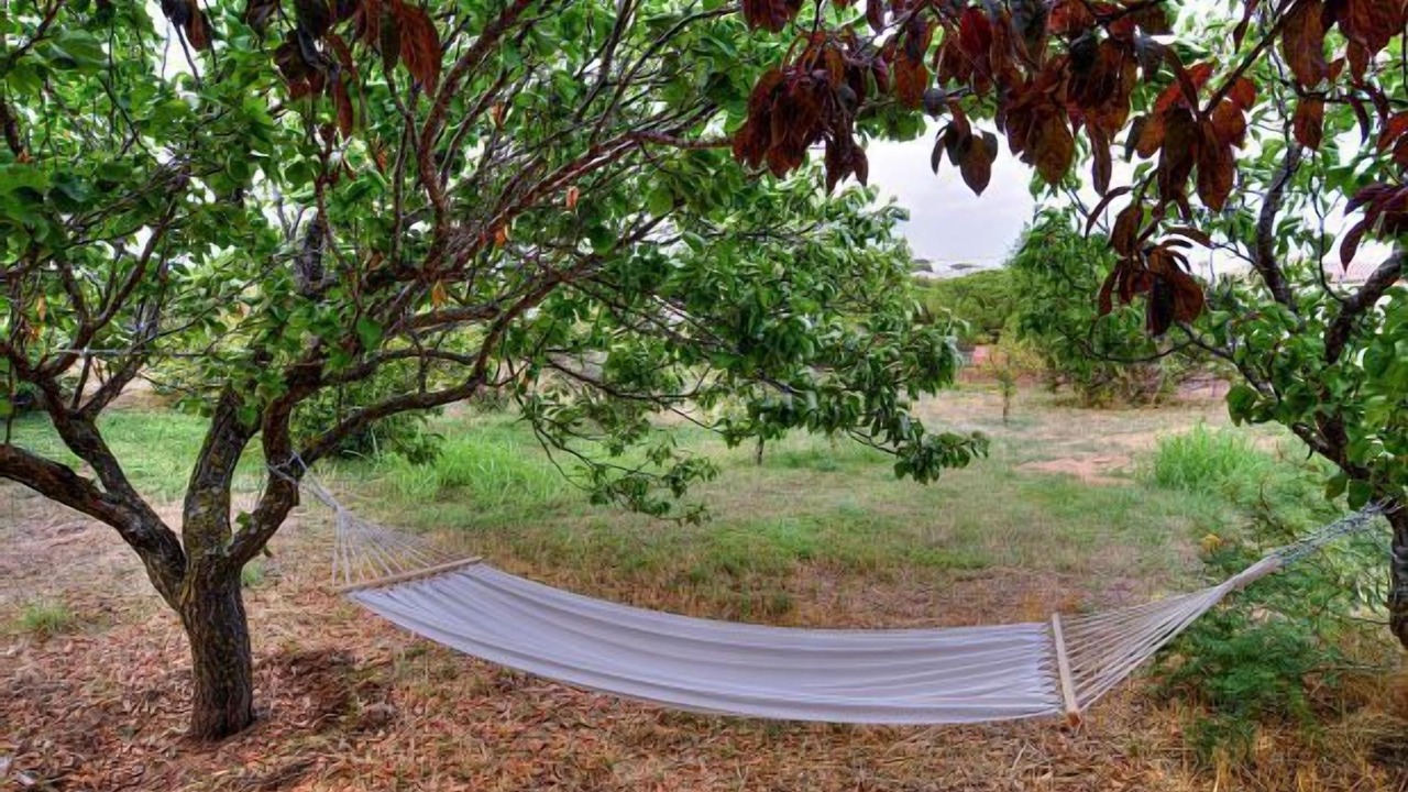 Photo of Outdoor in Castell-Platja d'Aro