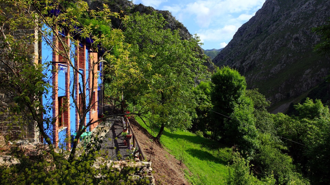 Photo of Outdoor in Ponga