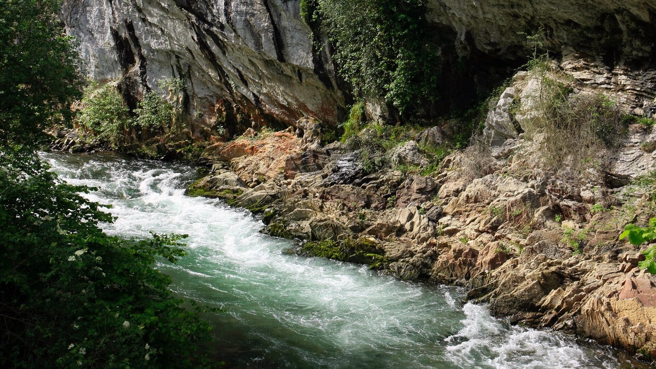 Photo of Outdoor in Ponga