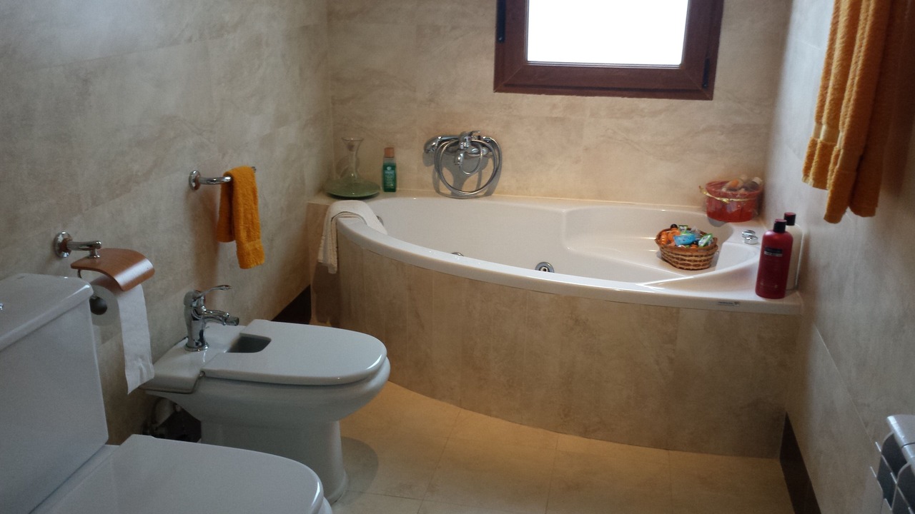 Photo of Bathroom in Las Navas Del Marques