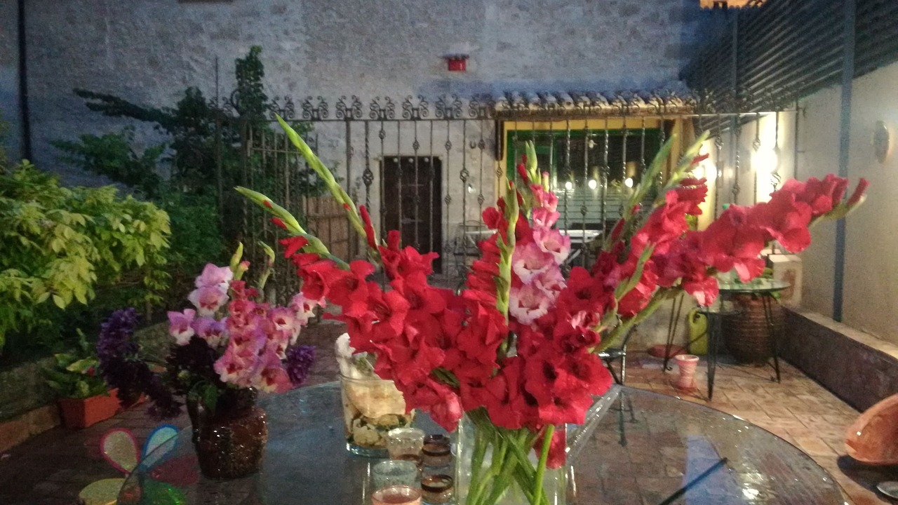 Photo of Patio Balcony in Miralcamp