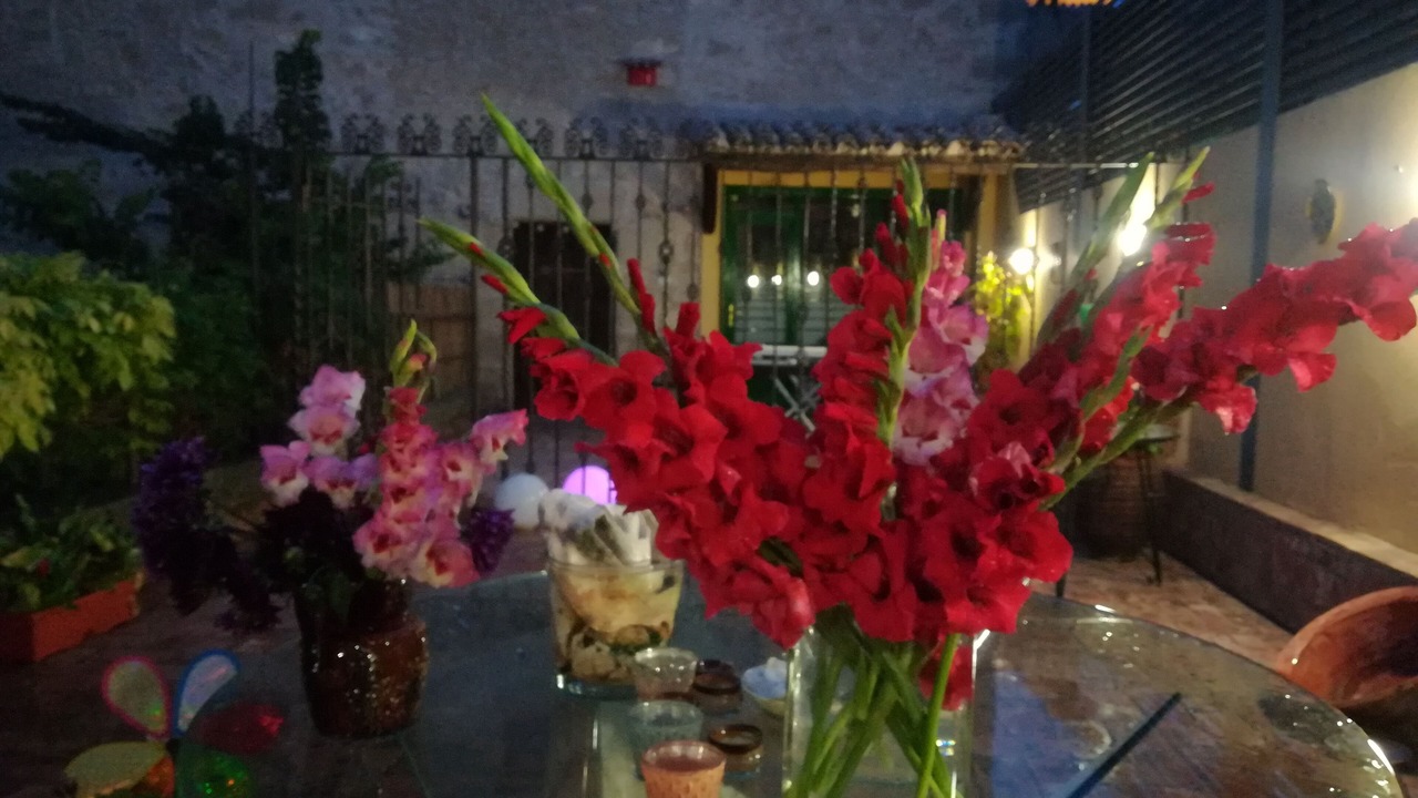 Photo of Patio Balcony in Miralcamp