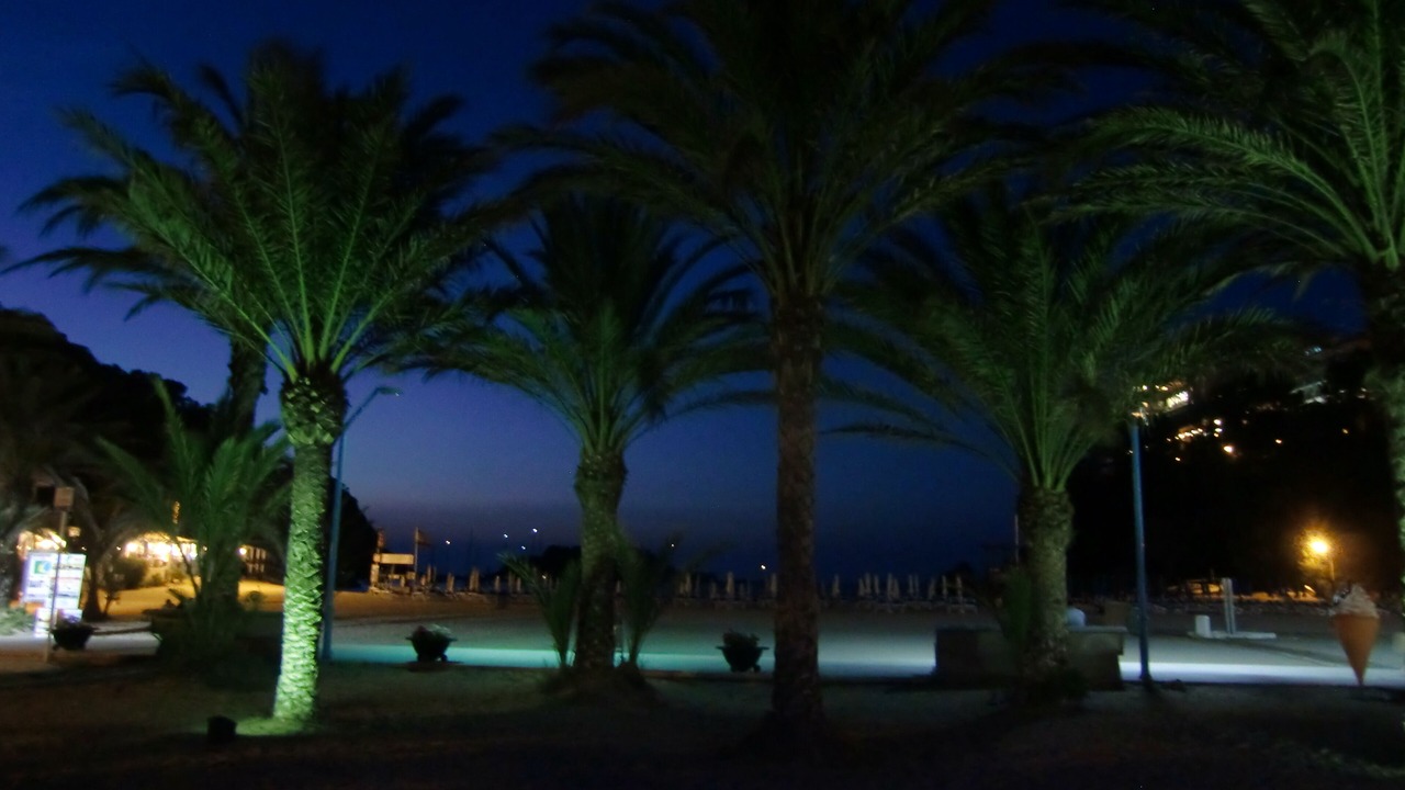 Photo of Outdoor in Puerto San Miguel