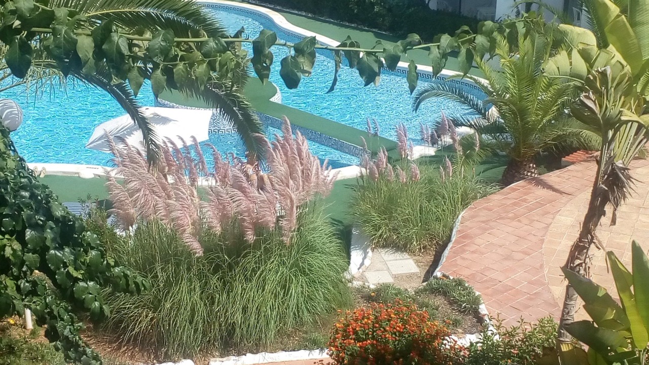 Photo of Outdoor in Siesta