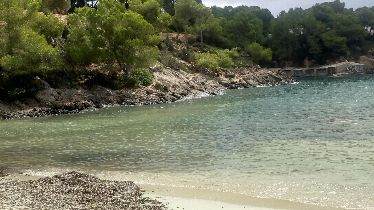 Photo of Others in Siesta