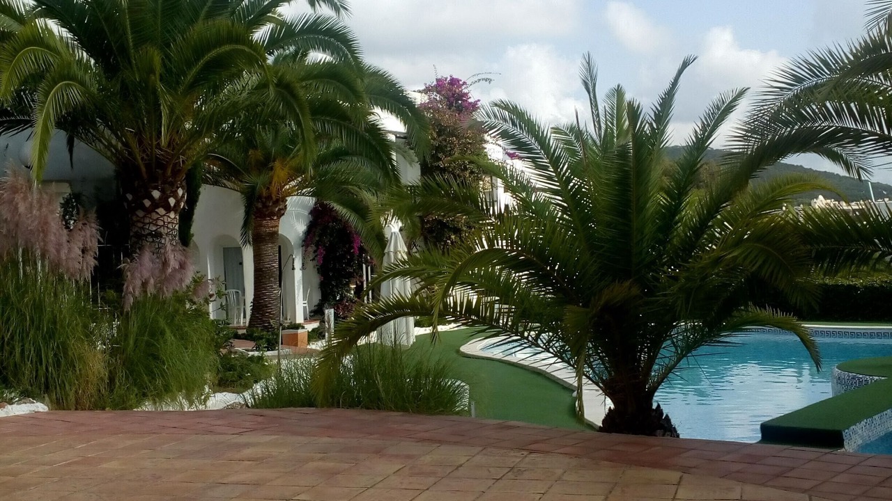 Photo of Outdoor in Siesta