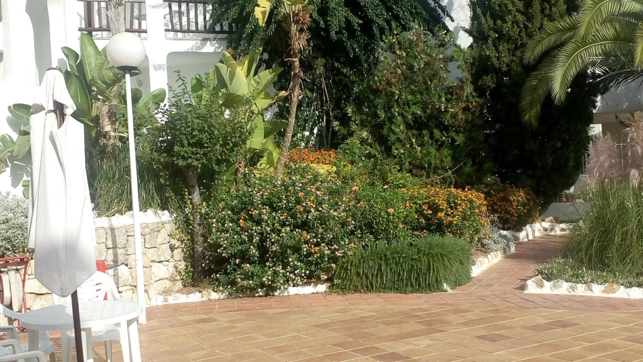 Photo of Patio Balcony in Siesta