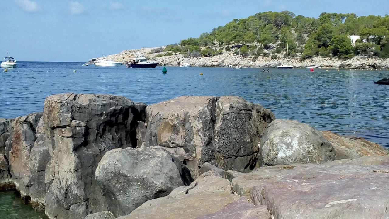 Photo of Others in Siesta