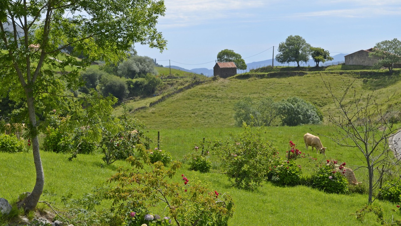 Photo of Outdoor in Cavandi