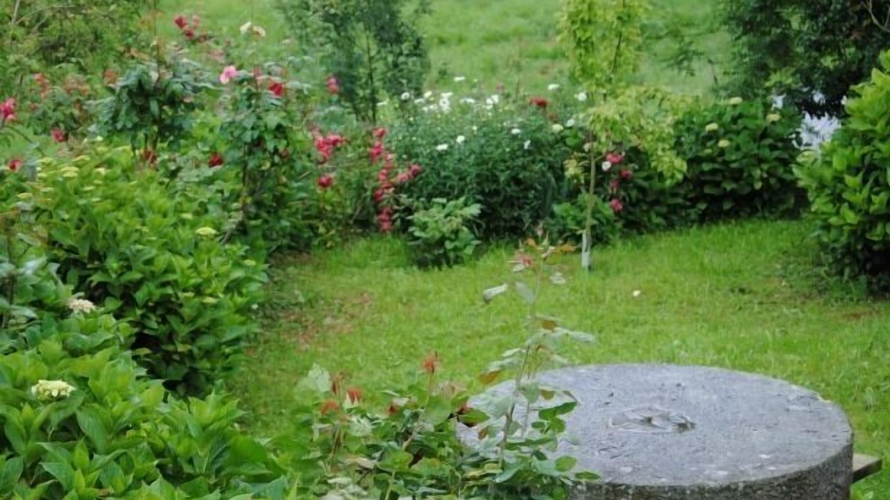 Photo of Outdoor in Cavandi