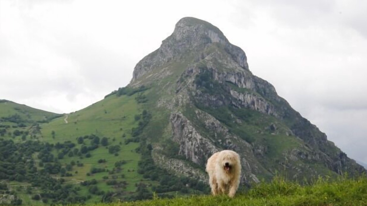 Photo of Outdoor in Cavandi